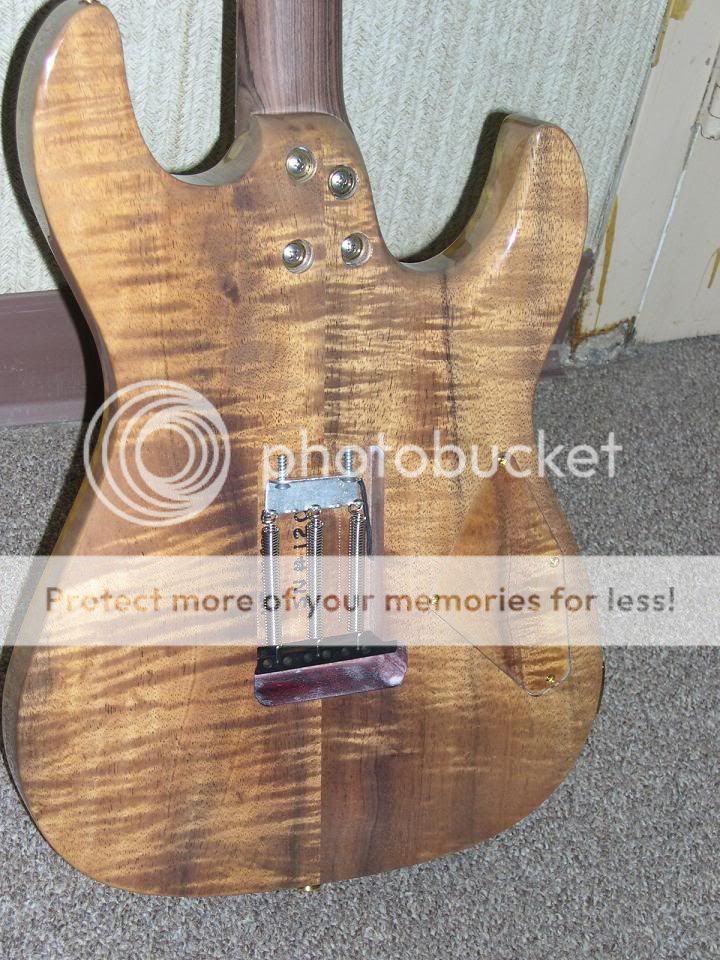 Nexus gitar genişletme ücretsiz indir