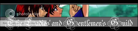The Lady's and Gentleman's Guild banner